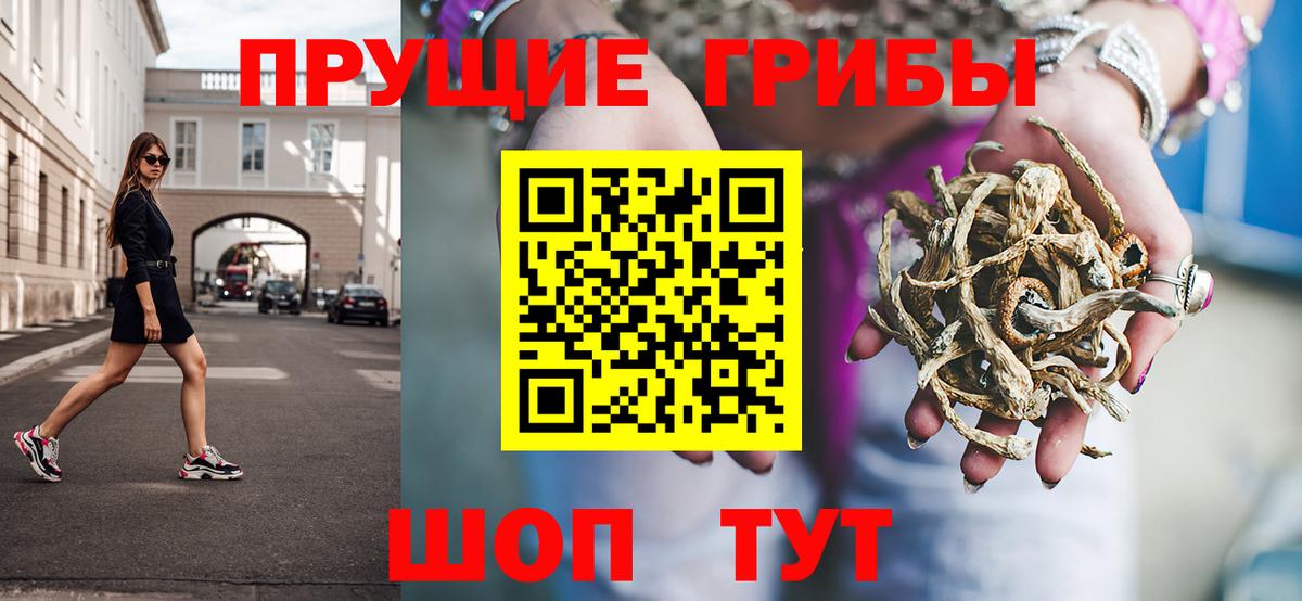 Псилоцибиновые грибы ЛСД  сколько стоит  Шарыпово  Вход с VPN 